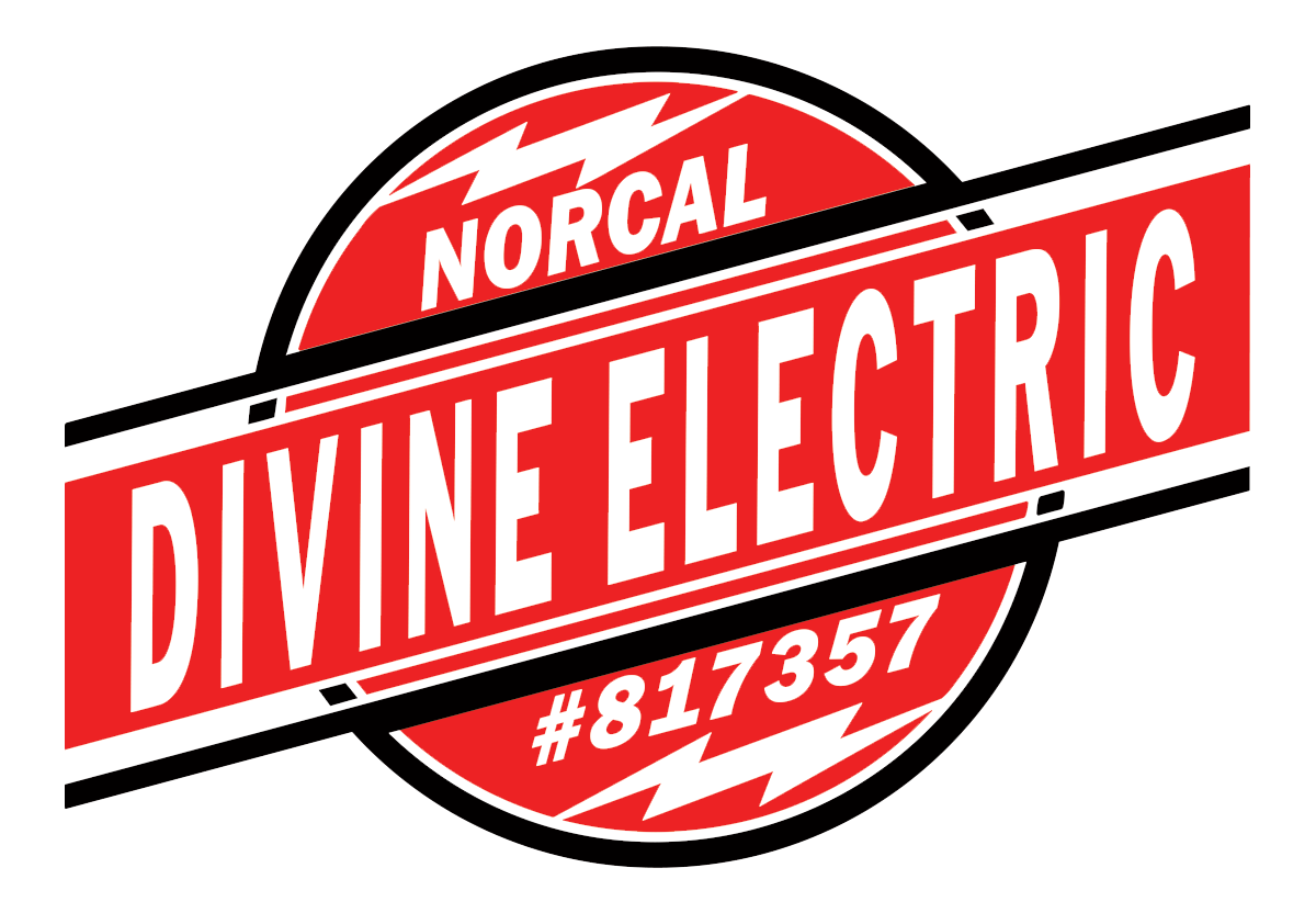 Divine-electric-Logo-white